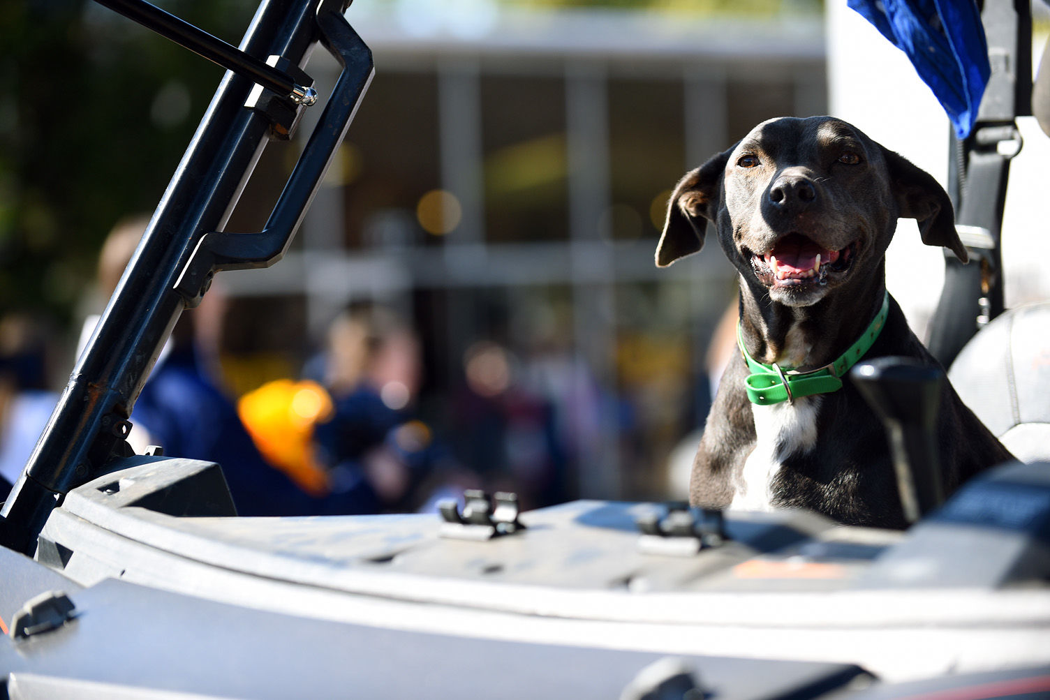 National Peanut Festival Parade 2019